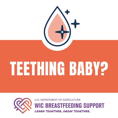Teething Tips