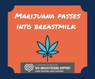 Marijuana