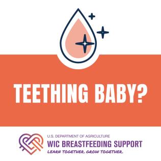 Teething Tips
