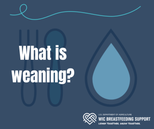 What is Weaning?